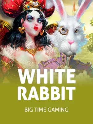 White Rabbit
