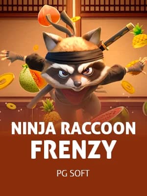 Ninja Raccoon Frenzy