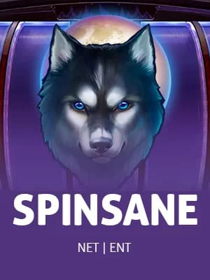 Spinsane