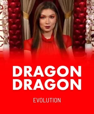 Dragon Dragon