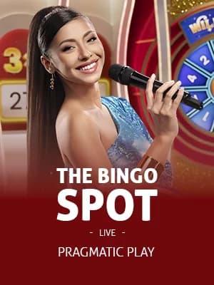 The Bingo Spot
