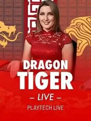 Live Dragon Tiger