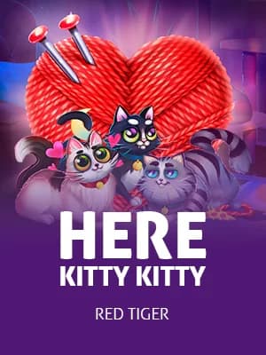 Here Kitty Kitty