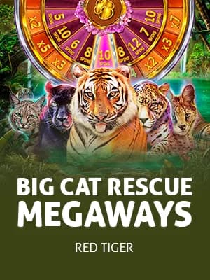 Big Cat Rescue Megaways