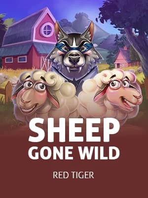 Sheep Gone Wild